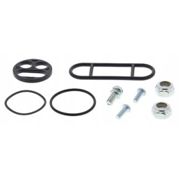 Arctic Cat 250 300 tap repair kit