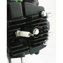 Engine 4t 130cc 54mm 15km 4 speed