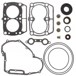 Winderosa vertex set of gaskets with seals