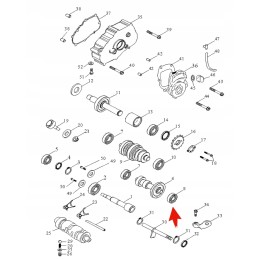 Lucky star gearbox bearing 250 300 400