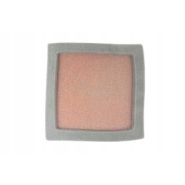 Twin Air Polaris Predator sponge air filter