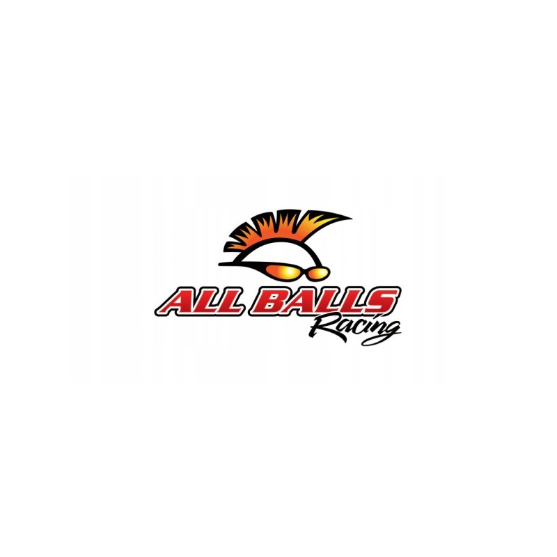 All balls front upper wishbone repair kit