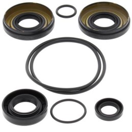 Rear diff seals Kawasaki KVF 650 750 Brute