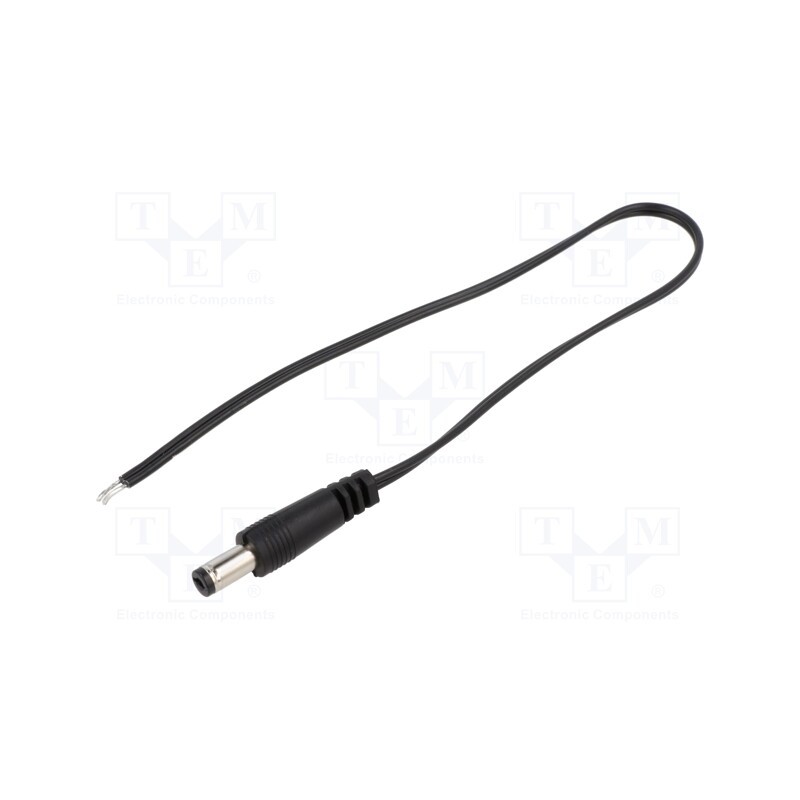 1 pcs x BQ CABLE - DC.CAB.6200.0020 - Cable, 2x0.35mm2, wires,DC 5,5/2,1 plug, straight, black, 0.25m