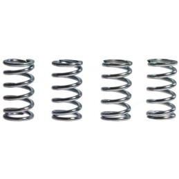 Clutch springs Kawasaki KLF 300 Bayou 00 07