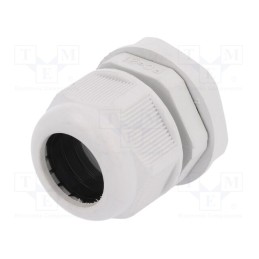 1 pcs x RAYCHEM RPG - RNPG-21 - Cable gland, PG21, IP65, polyamide, grey