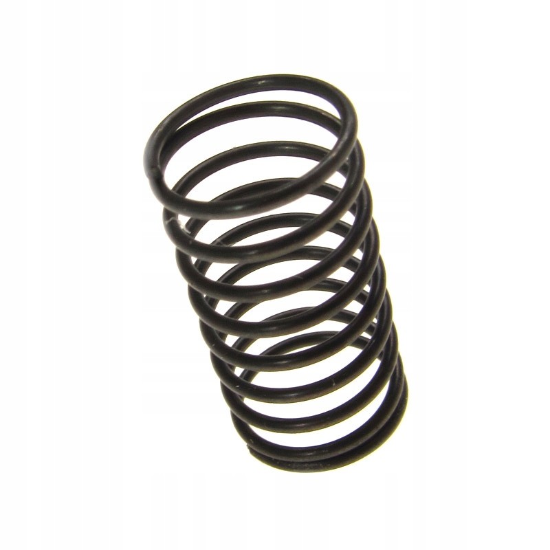 Oil filter spring yamaha yfm 350 400 yxr 700