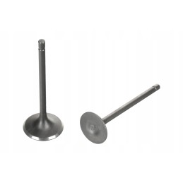 Intake valve exhaust valves quad atv bashan 250