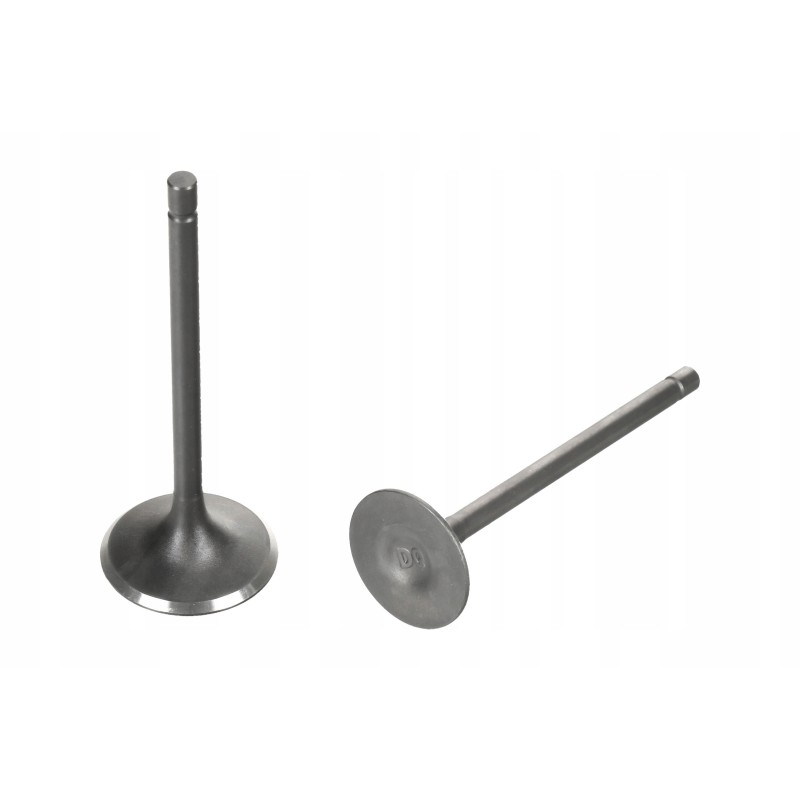 Intake valve exhaust valves quad atv bashan 250