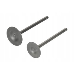 Intake valve exhaust valves quad atv bashan 250