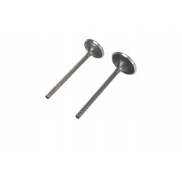 Intake valve exhaust valves quad atv bashan 250