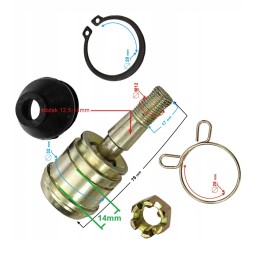 Lower wishbone end pin for quad atv eagle lyda