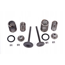 Spring valves for Chinese Cross ATV 110 125 28 23
