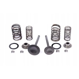 Spring valves for Chinese Cross ATV 110 125 28 23