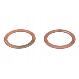 Winderosa exhaust pipe seal ring W823006