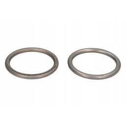 Winderosa exhaust pipe seal ring W823011