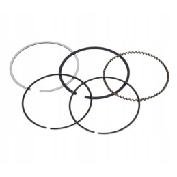 Atv quad 200 250 163ml 63 50 piston rings