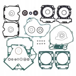 OEM Engine Gasket Set Can Am Outlander Renegade 800 R 420684165
