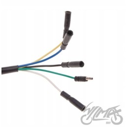 2-coil magneto stator king chopper moped