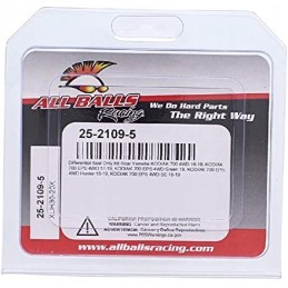 Rear differential seals for Yamaha Kodiak 700