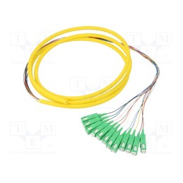1 pcs x QOLTEC - 54362 - Optic fiber pigtail, SC/APC,fiber, 2m, Input: fiber x12