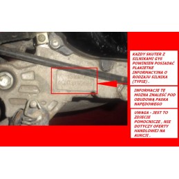 Stator magneto, 11 coils, scooter quad ATV 125 150