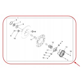 Polaris 1323296 complete variator clutch