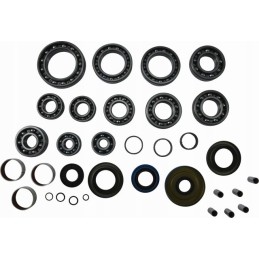 Rear differential repair kit ace 570 eu 17 18