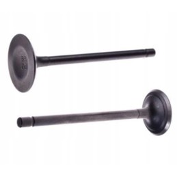 Quad atv 200 loncin engine intake and exhaust valve