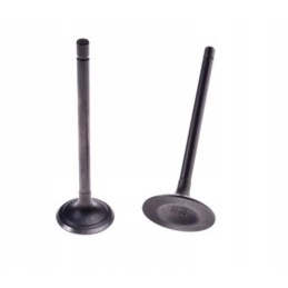 Quad atv 200 loncin engine intake and exhaust valve