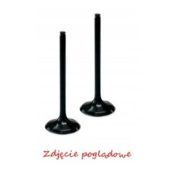 Prox steel intake valve yamaha grizzly 02 08