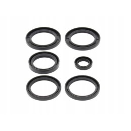 Kawasaki kfx700 v force diff seals 04 09