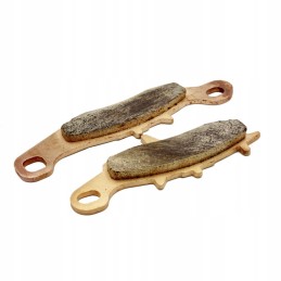 Kawasaki KVF KVX Delta brakes brake pads