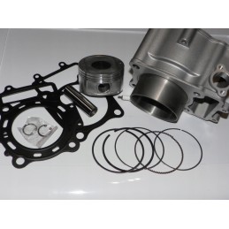 Cylinder, piston, rings, gaskets, cf moto 500