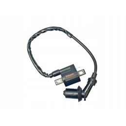 Ignition coil spark plug with pipe atv bashan 200 250 bs250s 5 motogeneric