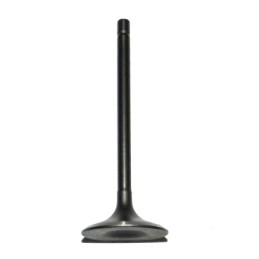 Intake valve for quad 250 stxe shineray