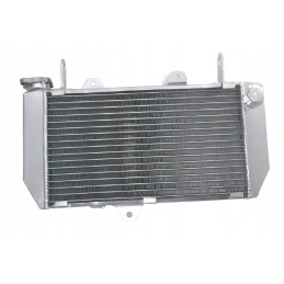Radiator yamaha yfz450r 2014 2018