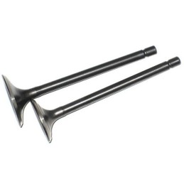 Quad ATV 150 Loncin Bashan exhaust intake valves