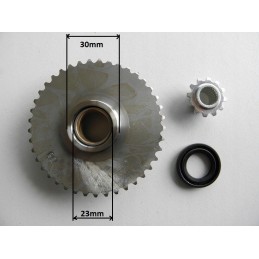 Free starter wheel for 110-125 cc quad bike