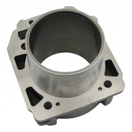 Cylinder piston and head gasket Odes 800 Benyco