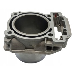 Cylinder piston and head gasket Odes 800 Benyco