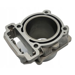 Cylinder piston and head gasket Odes 800 Benyco