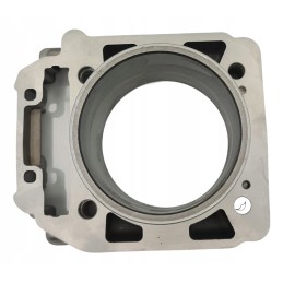 Cylinder piston and head gasket Odes 800 Benyco