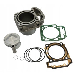 Cylinder piston rings Odes 800 Benyco