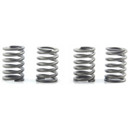 Kawasaki KEF 300 B Lakota Sport clutch springs