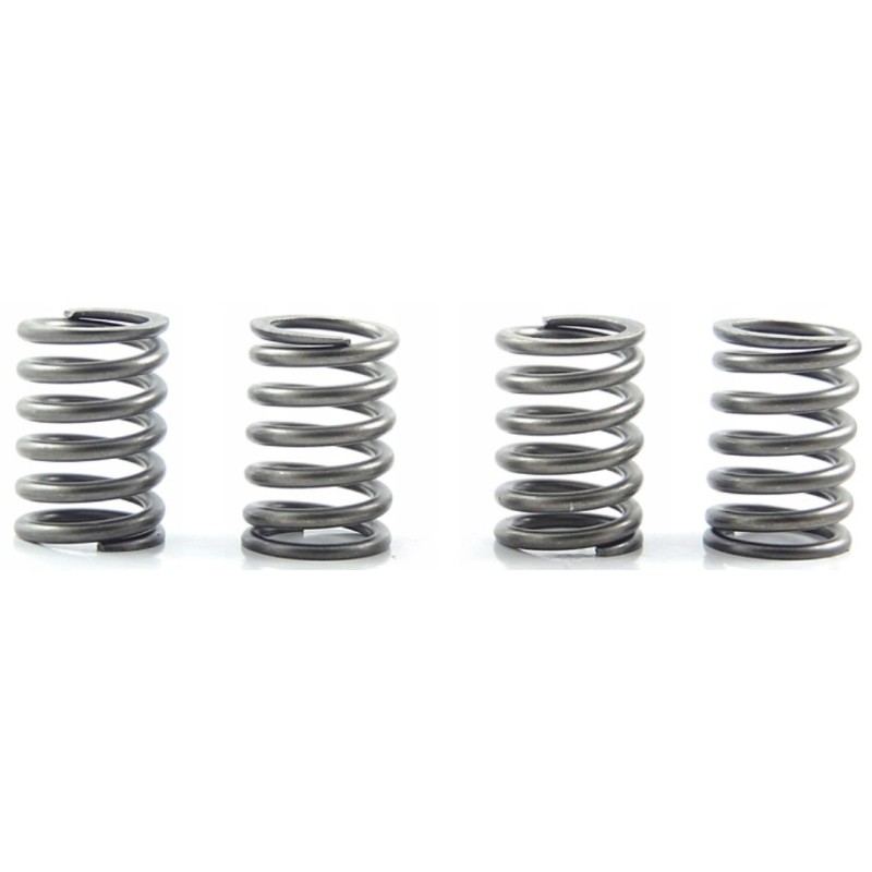 Kawasaki KEF 300 B Lakota Sport clutch springs