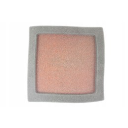 Twinair air filter Polaris 500 predator 03/07