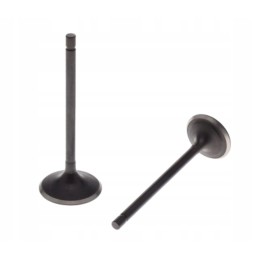 Atv quad bashan 250 4t exhaust intake valves