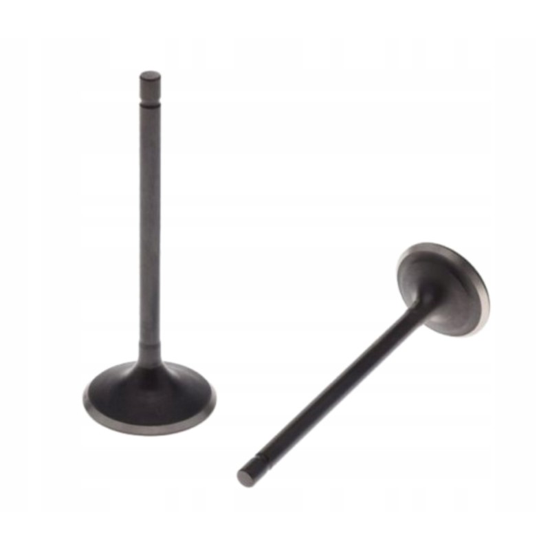 Atv quad bashan 250 4t exhaust intake valves