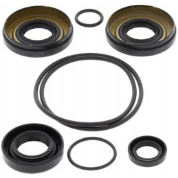 Kawasaki KVF 750 differential repair kit